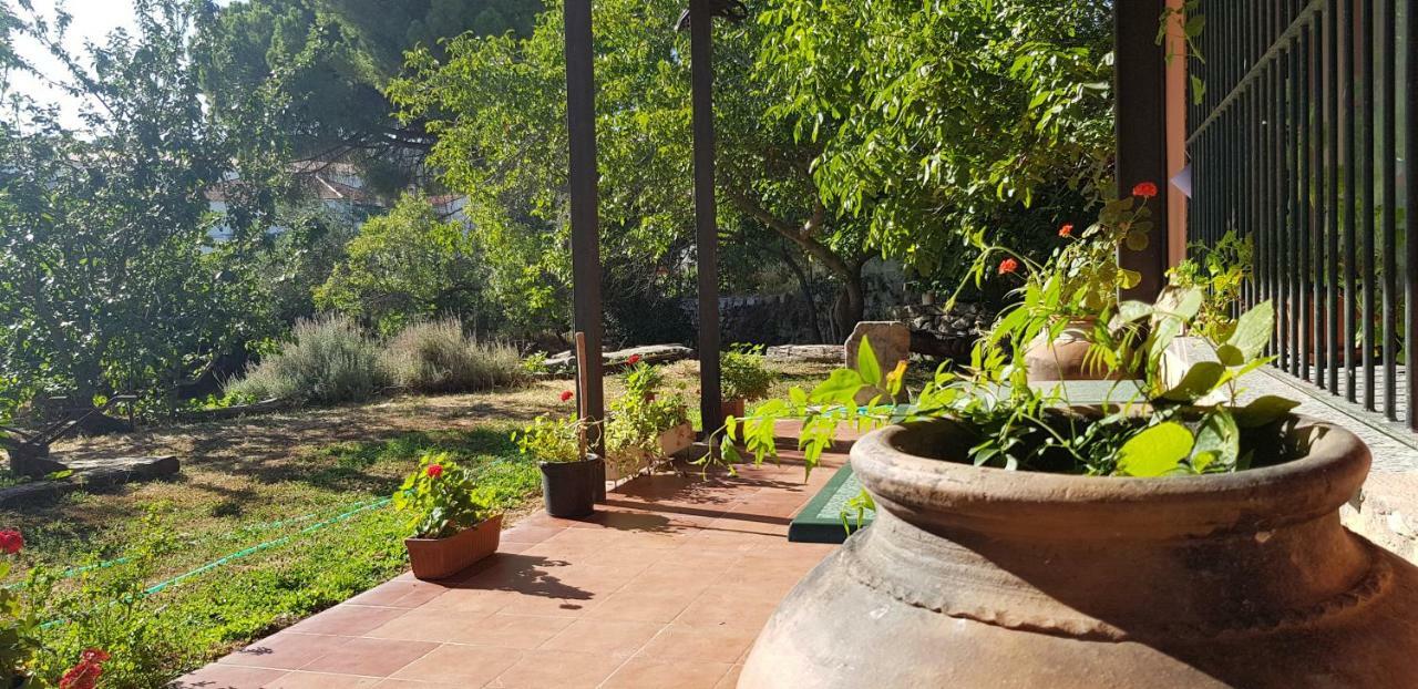 Apartamentossierradegata La Noguera Villamiel المظهر الخارجي الصورة